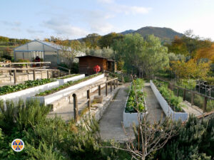 Giardino dei ciliegi.00_27_15_23.Immagine019