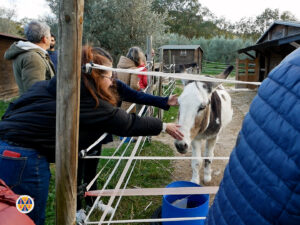 Giardino dei ciliegi.00_29_06_49.Immagine020