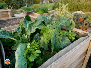 Giardino dei ciliegi.00_32_05_31.Immagine027