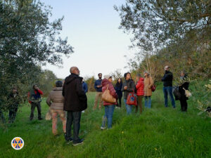 Giardino dei ciliegi.00_38_17_21.Immagine033